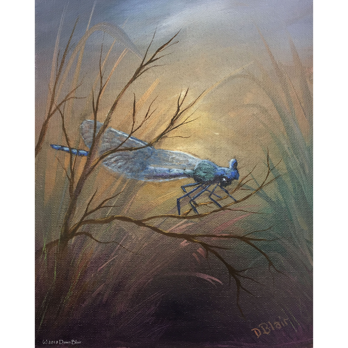 Art prints